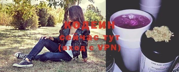 дживик Осташков