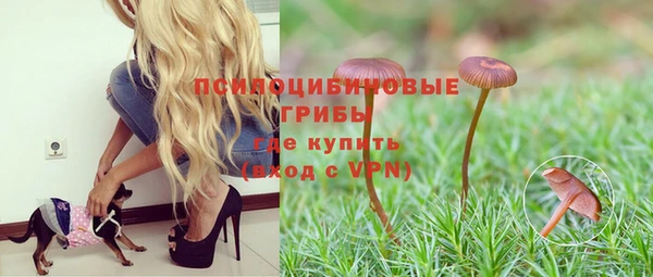 каннабис Алексеевка
